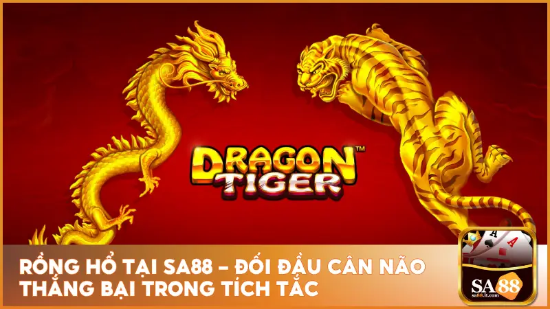 Rồng Hổ Tại Sa88 - Đối Đầu Cân Não Thắng Bại Trong Tích Tắc 4 Rồng Hổ Tại sa88 - Đối Đầu Cân Não Thắng Bại Trong Tích Tắc